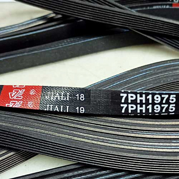 Ремень-1975-H7-(1975H7-)-7PH1975-Jiali-для-сушильной-машины